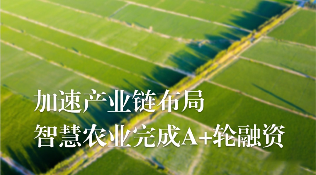 加速农业产业链布局，瓦力棋牌(中国) 农业完成A+轮融资